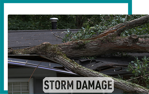 Strictly Roofing Images