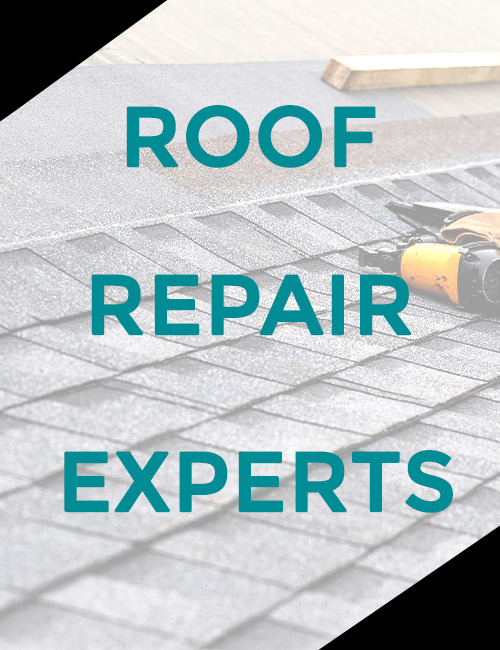 Strictly Roofing Images