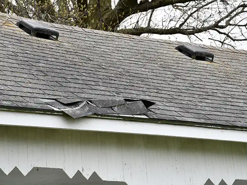 Damaged roof shingles