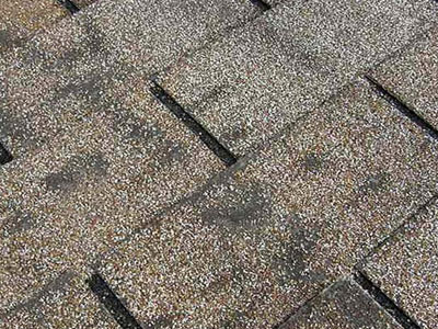 Strictly Roofing Images