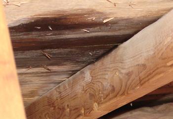 Strictly Roofing & Supply Co Images