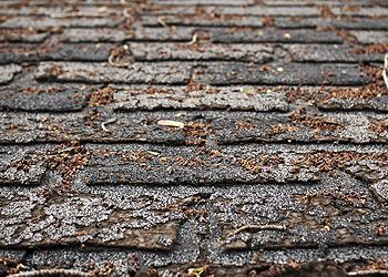 Strictly Roofing & Supply Co Images